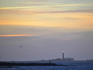 Ferienhaus Neujellingsdorf Außenaufnahme 37
