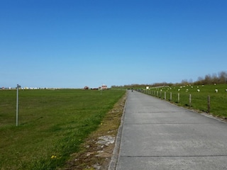 Fahrradweg zum Strand Hooksiel