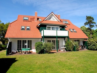Muschelsucher 1/2 Garten