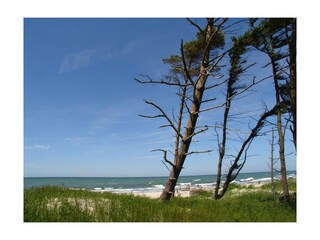 Weststrand
