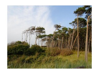 Weststrand.