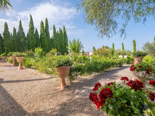 Villa Manacor  46
