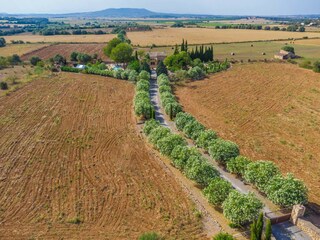 Villa Manacor  48