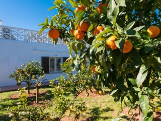 Chalet Llucmajor Registrazione all'aperto 10