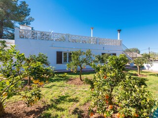 Chalet Llucmajor Registrazione all'aperto 11