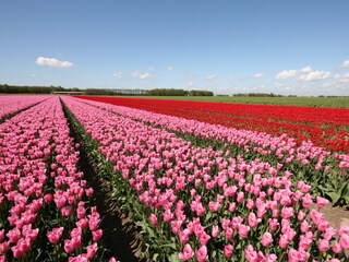 Chalet Lemmer Ambiente 22