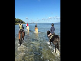 Casa per le vacanze Zierow Ambiente 23