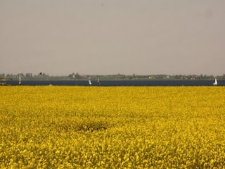 Appartement Zierow Environnement 20