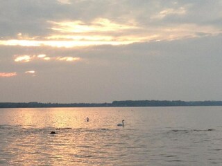 Appartement Zierow Environnement 28