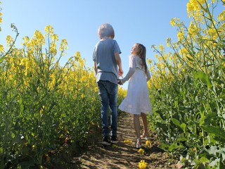 Apartment Zierow  29