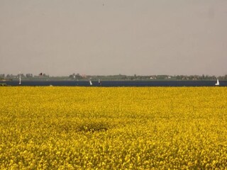 Vakantiehuis Zierow Omgeving 19