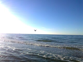 Casa per le vacanze Zierow Ambiente 28