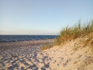 Vakantiehuis Zierow Omgeving 18