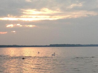 Casa per le vacanze Zierow Ambiente 30