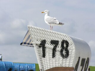 Appartement Zierow  27