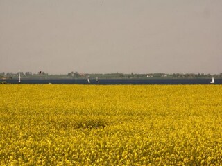 Casa de vacaciones Zierow Entorno 25