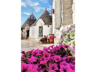 Casa per le vacanze Torre Santa Sabina Ambiente 39