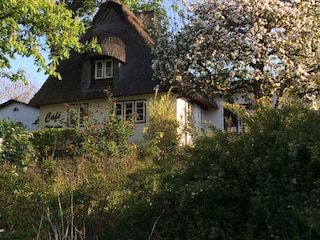 Das Ferienhaus liegt grün eingewachsen.
