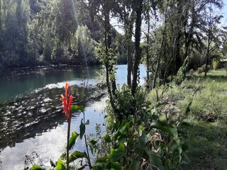 Villa Roquebrun Environment 35
