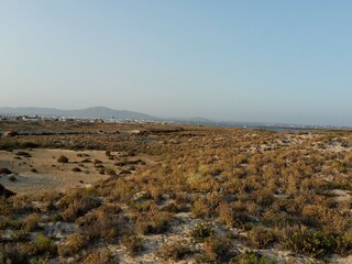 Maison de vacances Olhão Environnement 35