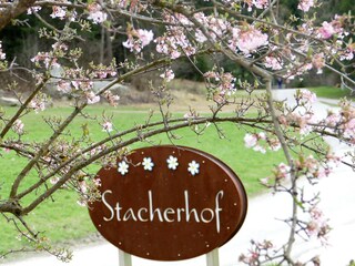 Appartamento per vacanze Gsies Documento 40