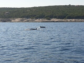 Appartamento per vacanze Medulin Ambiente 14