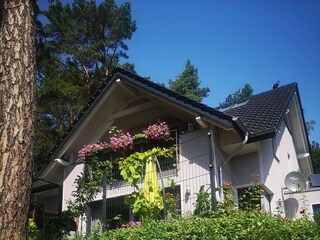 Ferienwohnung Seebad Bansin Außenaufnahme 2