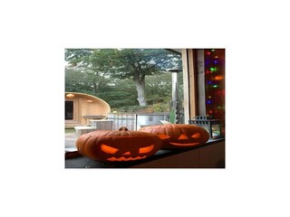 Holiday house Voorthuizen  34