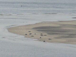 Appartamento per vacanze Borkum Ambiente 17