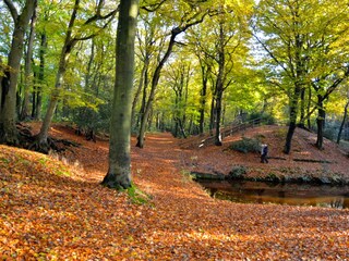 Appartamento per vacanze Bergen (Holland) Ambiente 34