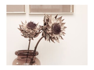 Appartamento per vacanze Bergen (Holland) Caratteristiche 12