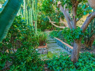 Villa Pollensa Grabación al aire libre 24