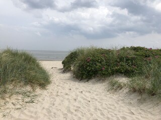 Strand Schillig