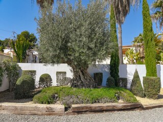 Villa Benissa Registrazione all'aperto 5