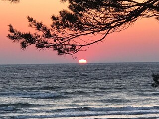 Appartamento per vacanze Binz Ambiente 21