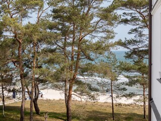 Holiday apartment Binz Environment 6