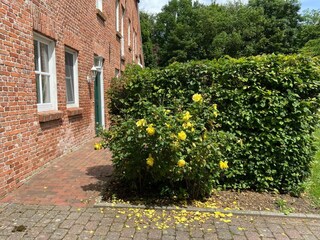 Eingang und Terrasse