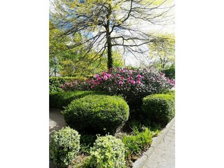 Mittelpunkt des Hofes