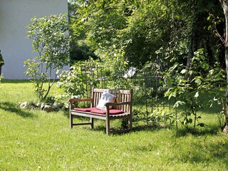Apartamento de vacaciones Hinterzarten Grabación al aire libre 6