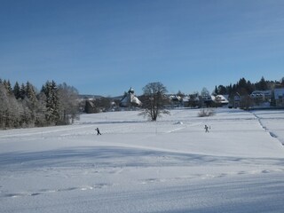 Vakantieappartement Hinterzarten Omgeving 39