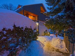 Ferienwohnung Davis - Hinterzarten - image1