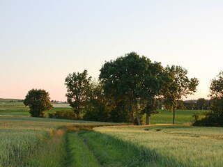 Villa Saint-Bris-des-Bois Environnement 24