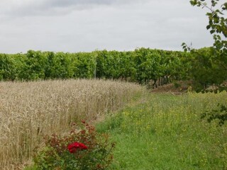 Villa Saint-Bris-des-Bois Omgeving 27