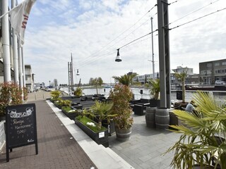 Maison de vacances Ermelo Environnement 35