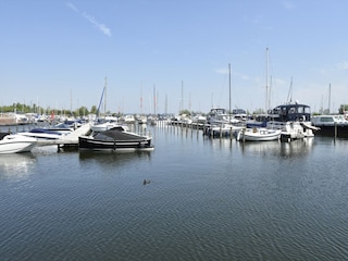 Vakantiehuis Ermelo Omgeving 38