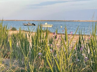 Holiday house Gruissan  34
