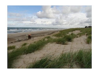 Nordstrand, Darß