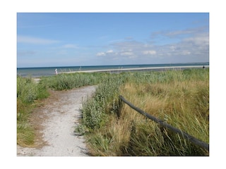 Strand, Darß