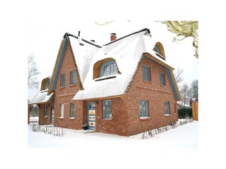Kastanie - Winter