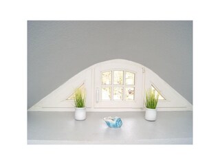 Herzmuschel - Detail